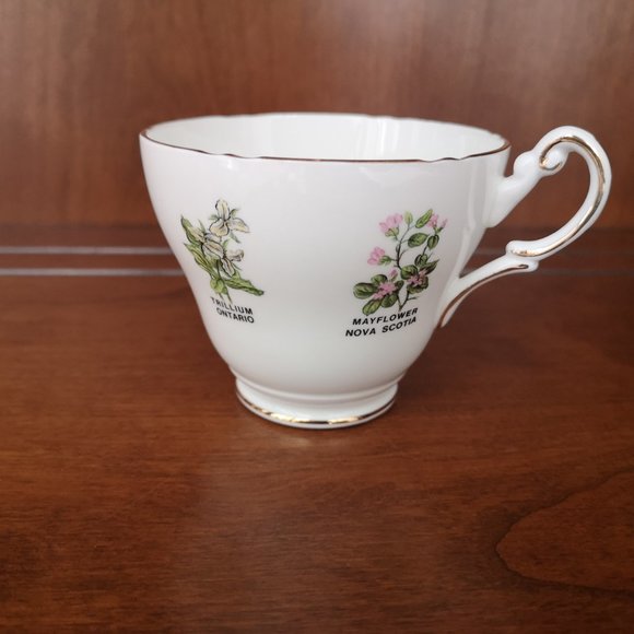Royal Consort and Royal Darwood Canada related cup&saucer - Picture 6 of 10